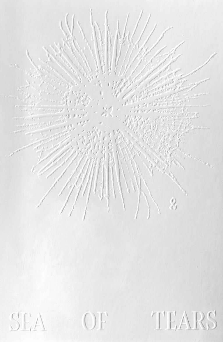 Alice Pallot - 'Algues Maudites, a Sea of Tears', Häftad