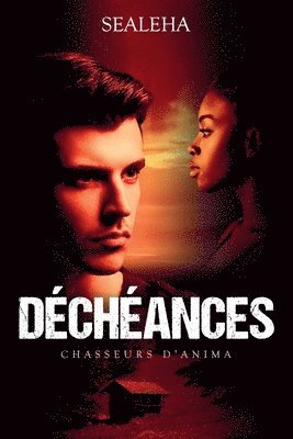 bokomslag Déchéances