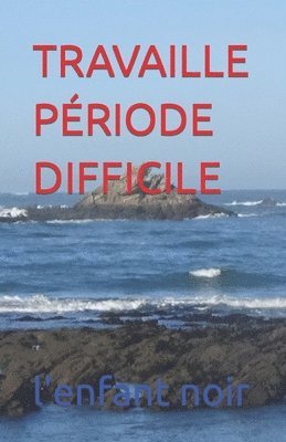 bokomslag Travaille Periode Difficile