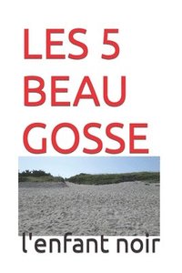 bokomslag Les 5 Beau Gosse