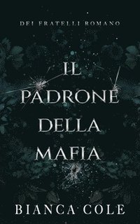 bokomslag Padrone Della Mafia