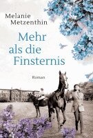Melanie Metzenthin - Mehr als die Finsternis, Häftad