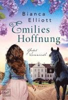 bokomslag Emilies Hoffnung