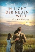 bokomslag Im Licht der Neuen Welt