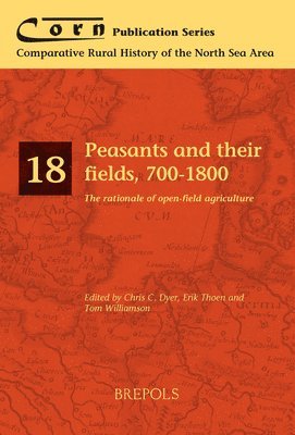 bokomslag Rural Institutions in the North Sea Area 1850-1950