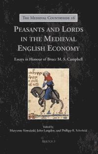 bokomslag Peasants and Lords in the Medieval English Economy
