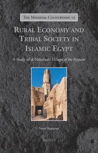bokomslag Rural Economy and Tribal Society in Islamic Egypt