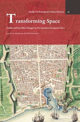 bokomslag Transforming Space