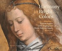 bokomslag Harmony in Bright Colours