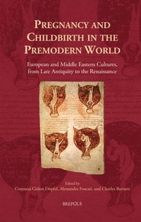 bokomslag Pregnancy and Childbirth in the Premodern World