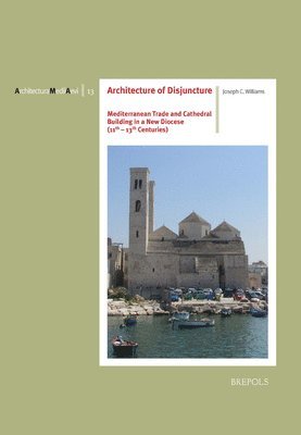 bokomslag Architecture of Disjuncture