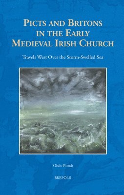 bokomslag Picts and Britons in the Early Medieval Irish Church