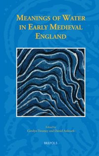 bokomslag Meanings of Water in Early Medieval England