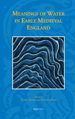 Carolyn Twomey, Daniel Anlezark - Meanings of Water in Early Medieval England, Inbunden
