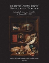 bokomslag Pictor Doctus, Between Knowledge and Workshop