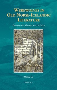 bokomslag Werewolves in Old Norse-Icelandic Literature