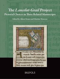 bokomslag Lancelot-Grail Project