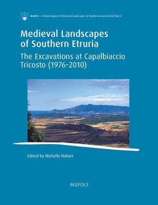 Michelle Hobart - Medieval Landscapes of Southern Etruria, Häftad