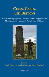 bokomslag Celts, Gaels, and Britons