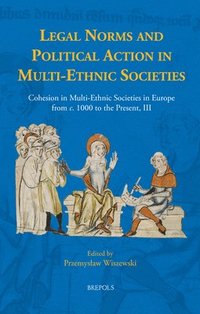 bokomslag Legal Norms and Political Action in Multi-Ethnic Societies