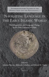 bokomslag Navigating Language in the Early Islamic World