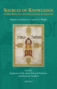 bokomslag Sources of Knowledge in Old English and Anglo-Latin Literature