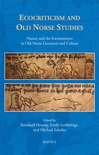 bokomslag Ecocriticism and Old Norse Studies