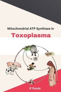 bokomslag Mitochondrial ATP Synthase In Toxoplasma