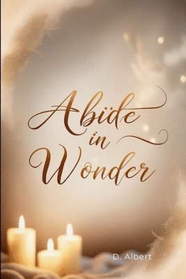 bokomslag Abide in Wonder