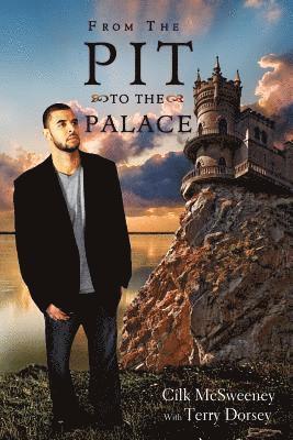 Cilk McSweeney, Dorsy Terry - From the Pit to the Palace Perfect Bind, Häftad