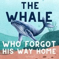 Teguh Wahyudi - Whale Who Forgot His Way Home, Häftad