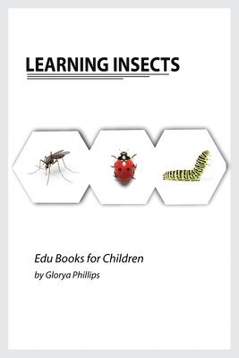 Glorya Phillips - Learning Insects, Häftad