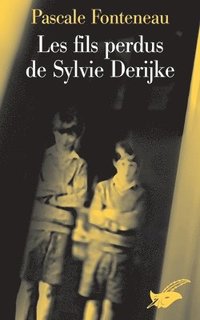 bokomslag Les fils perdus de Sylvie Derikje