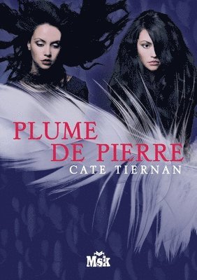 Plume de pierre 1