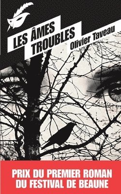 bokomslag Les  ames troubles