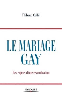 bokomslag Le mariage gay