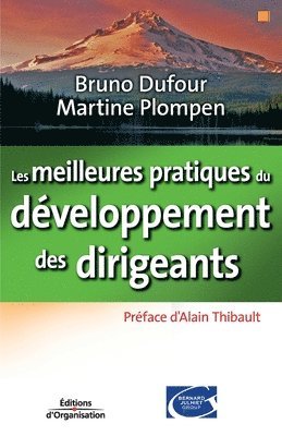 bokomslag Les meilleures pratiques du developpements des dirigeants