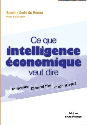 bokomslag Ce que intelligence economique veut dire