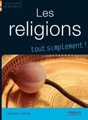 bokomslag Les religions, tout simplement !