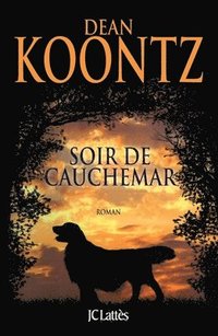 bokomslag Un soir de cauchemar