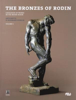 bokomslag Bronzes of Rodin