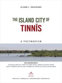 bokomslag The Island City of Tinnis: A Postmortem