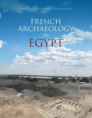 Laurent Coulon, Melanie Cressent - French Archaeology in Egypt: Resarch, Cooperation, Innovation, Häftad. Tillgänglighet: Tillfälligt slut