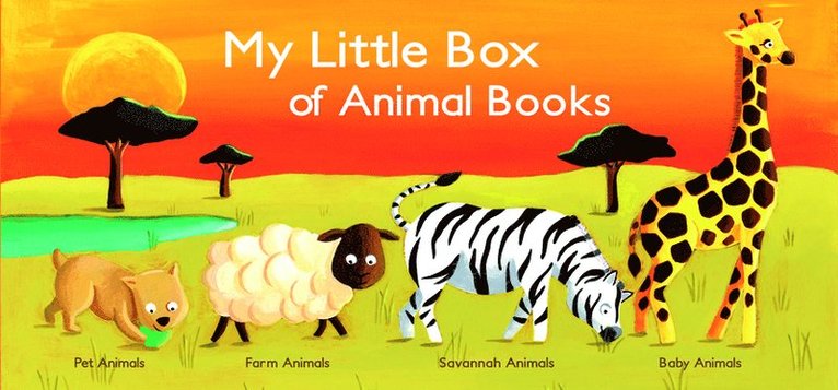 Christophe Boncens - My Little Box of Animal Books, Kartonnage