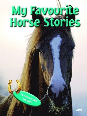 Collective Work - My Favourite Horse Stories: 15 Removable Posters, Häftad