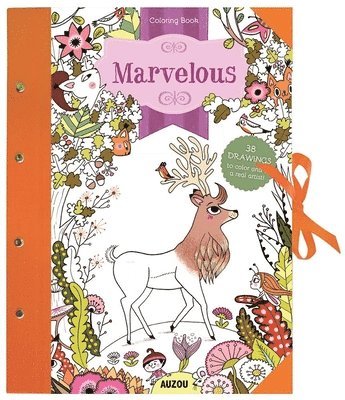 bokomslag Marvelous: Coloring Book