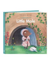 bokomslag A Surprise for Little Mole