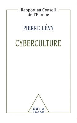 bokomslag Cyberculture / Cyberculture: Rapport au Conseil de l'Europe