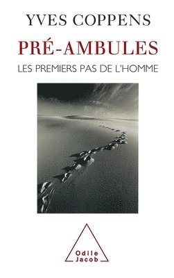 bokomslag Preambles