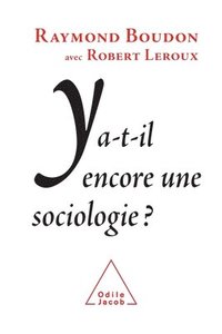 bokomslag Does Sociology Still Exist? / Y a-t-il encore une sociologie ?